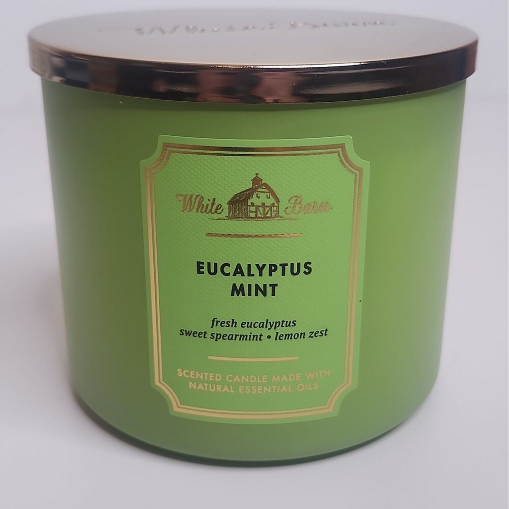 White Barn Eucalyptus Mint Scented 3-Wick Jar Candle Large Green 14.5oz